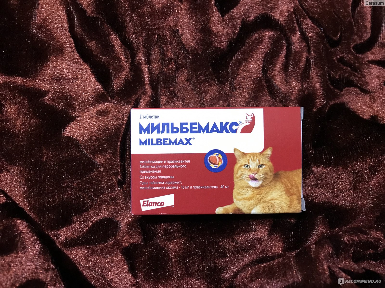 Купить мильбемакс для кошек