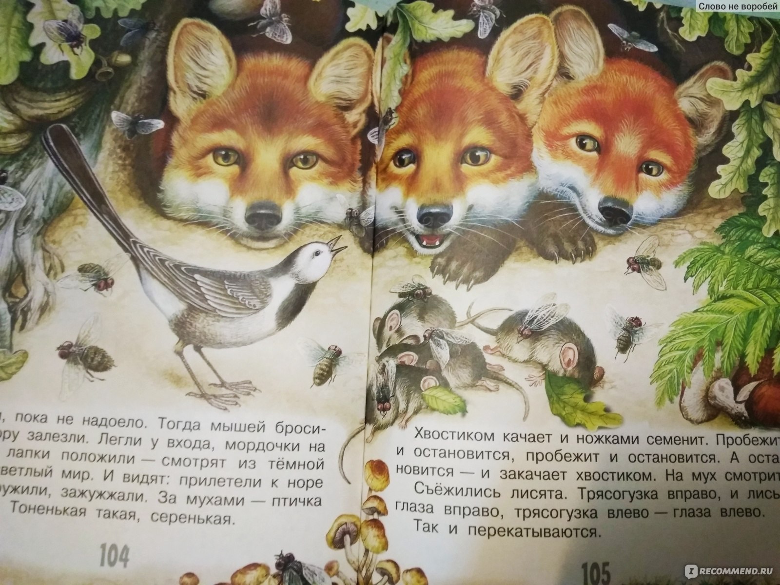 Сказки Самарской области про животных