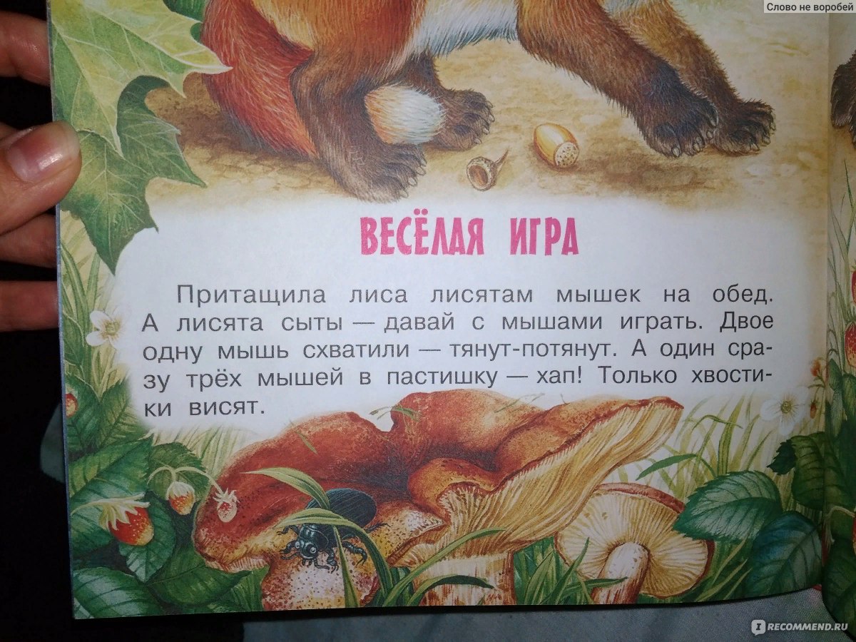 Лесные сказки и истории. Виталий Бианки, Михаил Пришвин, Николай Сладков -  «Картинки с трупами, которые я не показываю своим детям... И все это в  прекрасной детской книге » | отзывы