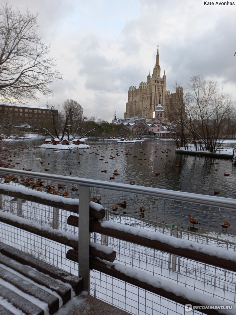 московский зоопарк зимой