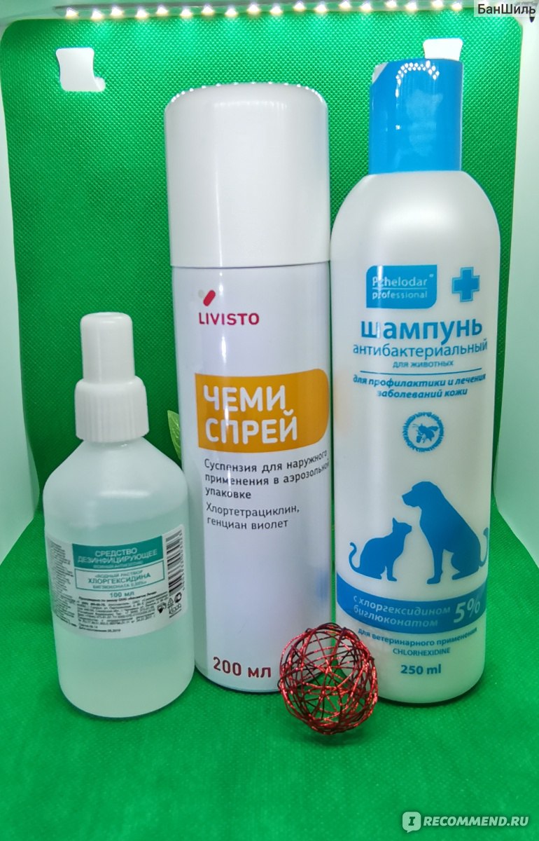 Антисептическое средство ИНВЕСА Чеми спрей (Chemi spray) - «Справляется  даже с запущенными мокнущими экземами и ранами. Несмотря на то, что  раскрашивает все в фиолетовый цвет, все равно остается №1. Выручает уже не