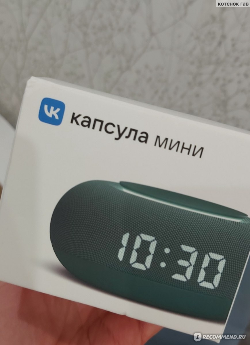 Умная колонка Mail.ru Group Капсула Мини Маруся - «У меня нет 