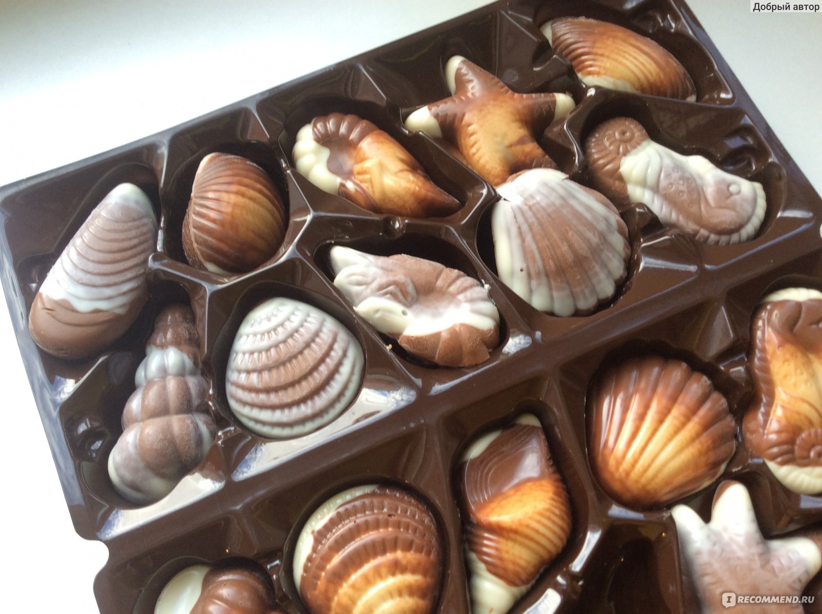 Шоколадные конфеты ракушки Бельгия Ameri
