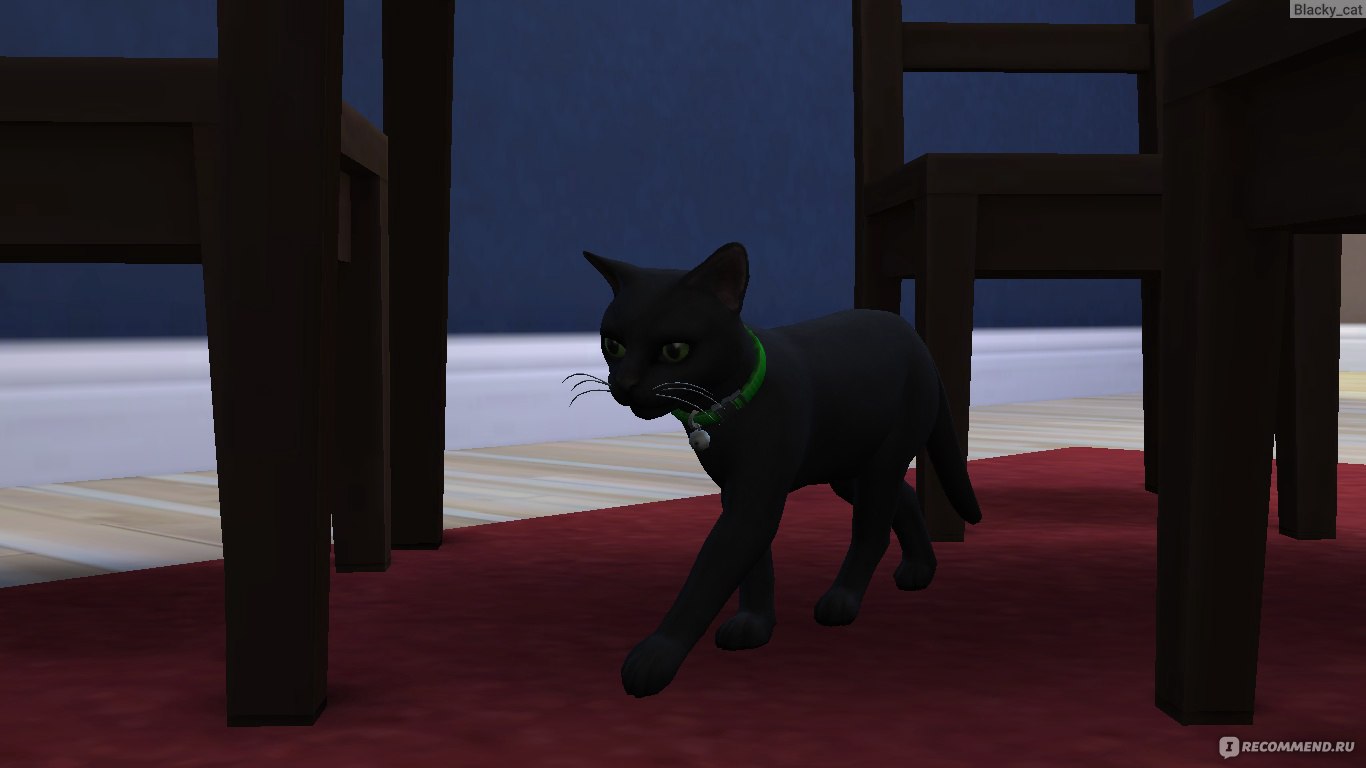 Гайд по прохождению The Sims 4 Cats and Dogs (Симс 4: кошки и собаки)