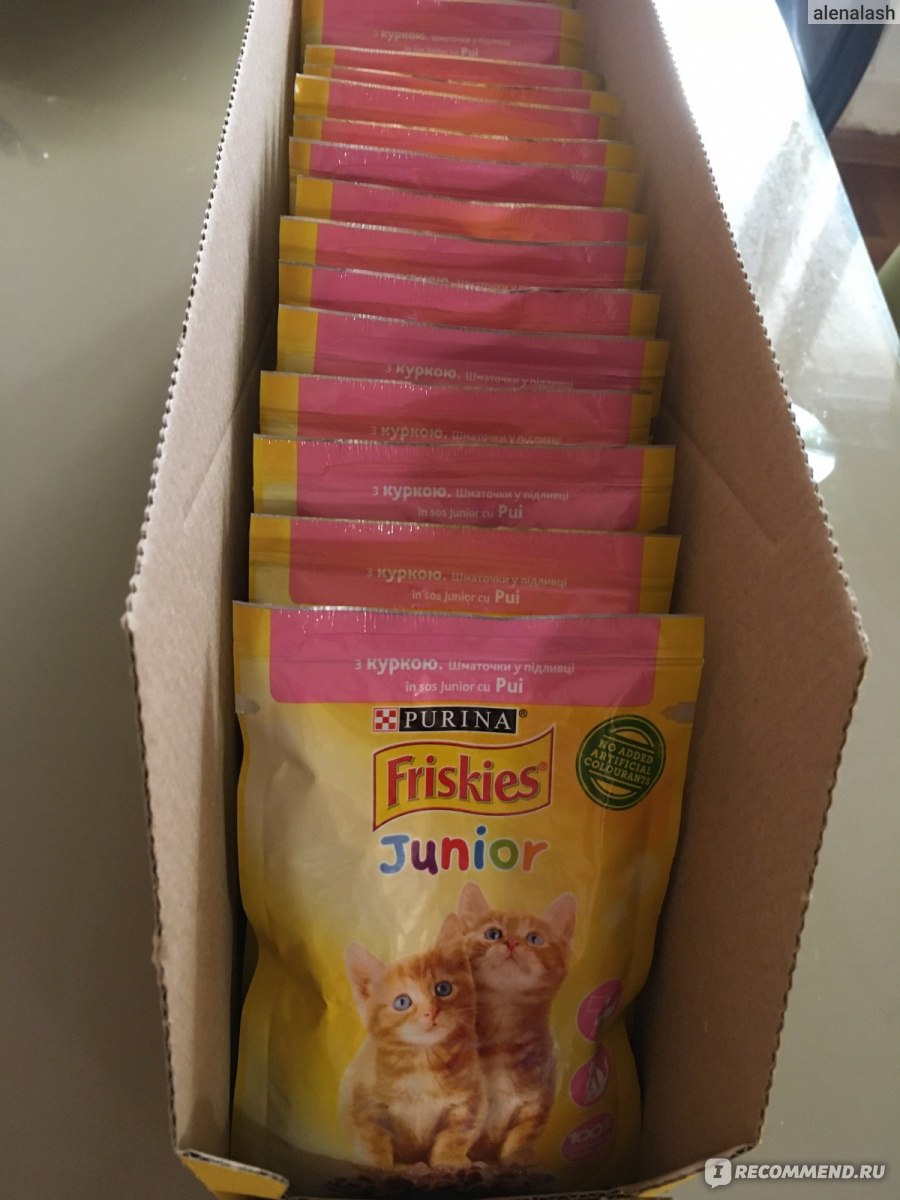 Friskies junior cat food best sale