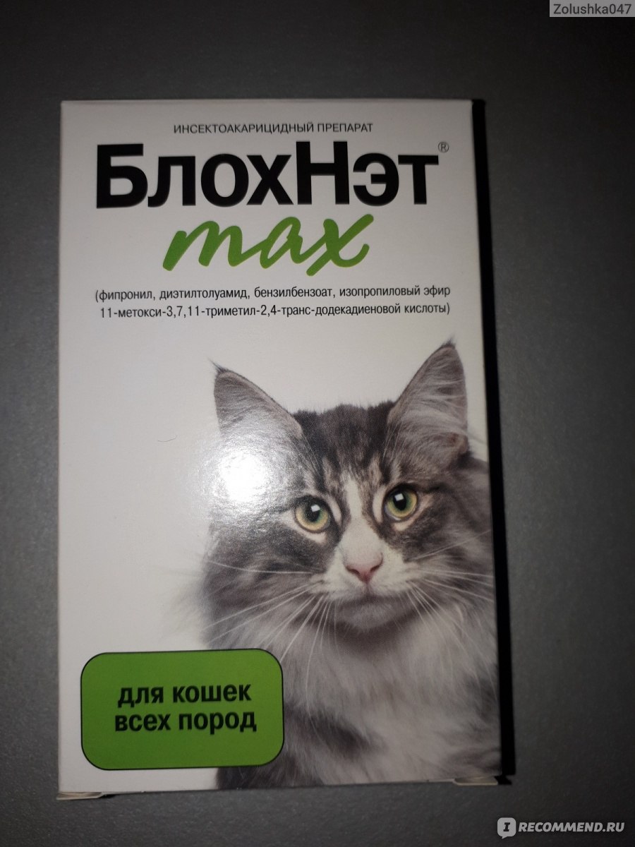 Капли от блох и клещей БлохНэт max Инсектоакарицидный препарат - «Не  помогает.» | отзывы