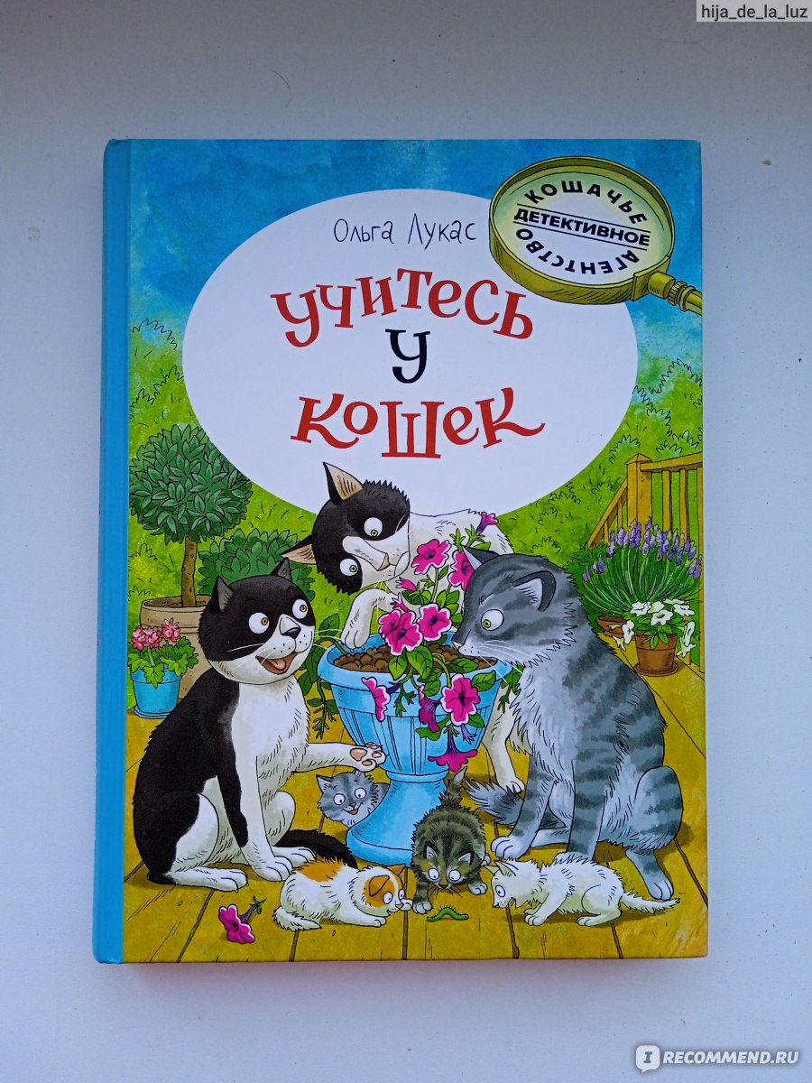 Учитесь у кошек. Ольга Лукас - «И снова лето, и снова тайны... пятая книга  приключений кошек-детективов» | отзывы