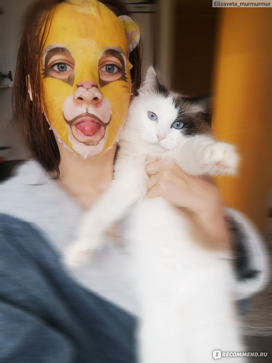 Тканевая маска для лица Berrisom Animal mask Cat (Collagen) - «Котик-котик,  ты чего такой пьяный? Маска для веселых сторис в инстаграмм, и не более  того. » | отзывы