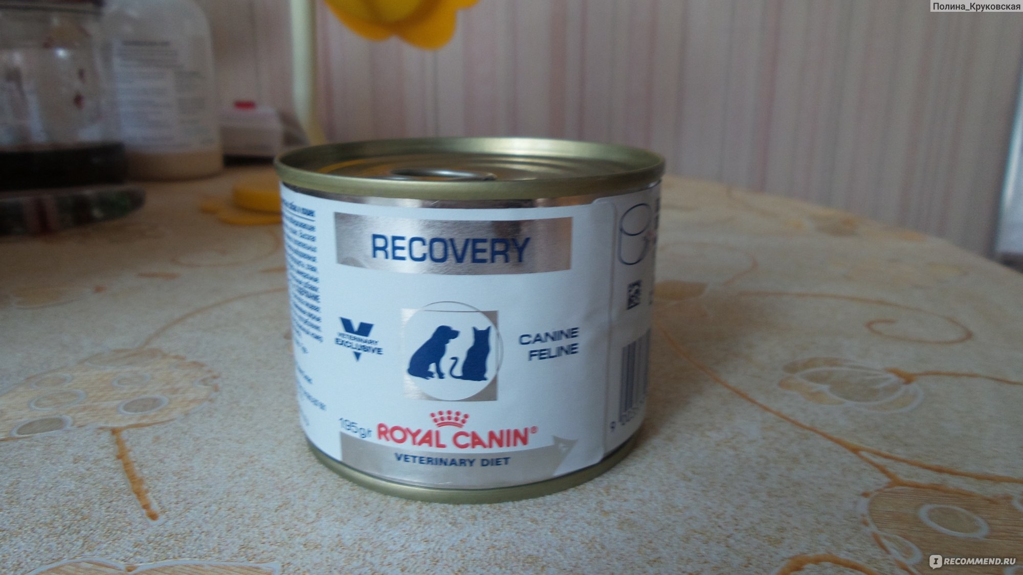 Royal canin Recovery фото