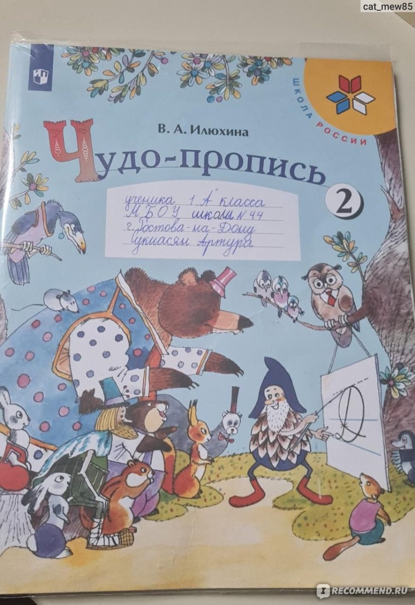 Тренажёр по чистописанию послебукварный период 1 класс. Жиренко Ольга  Егоровна, Лукина Таисия Михайловна - «Очень пригодился в 1 классе. » |  отзывы