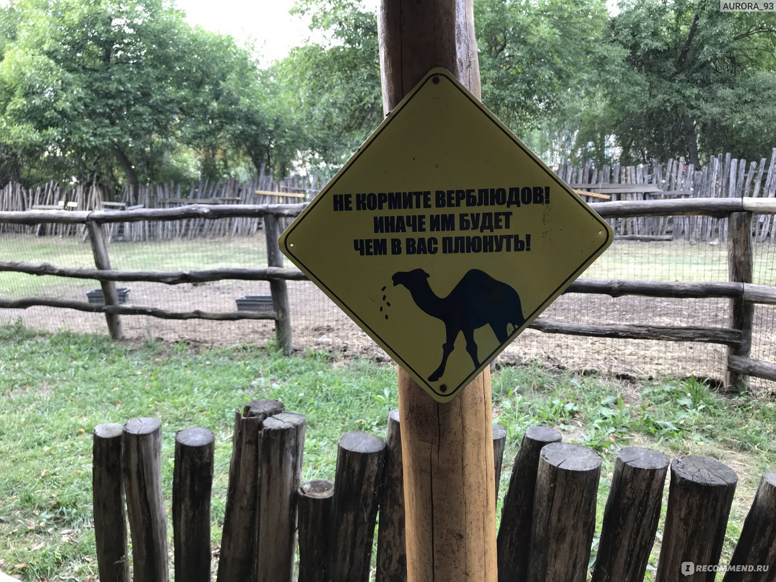 краснодарский зоопарк сафари парк