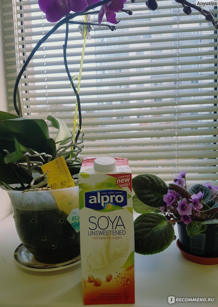 Соевые продукты Alpro Соевое молоко без сахара Soya unsweetened ...