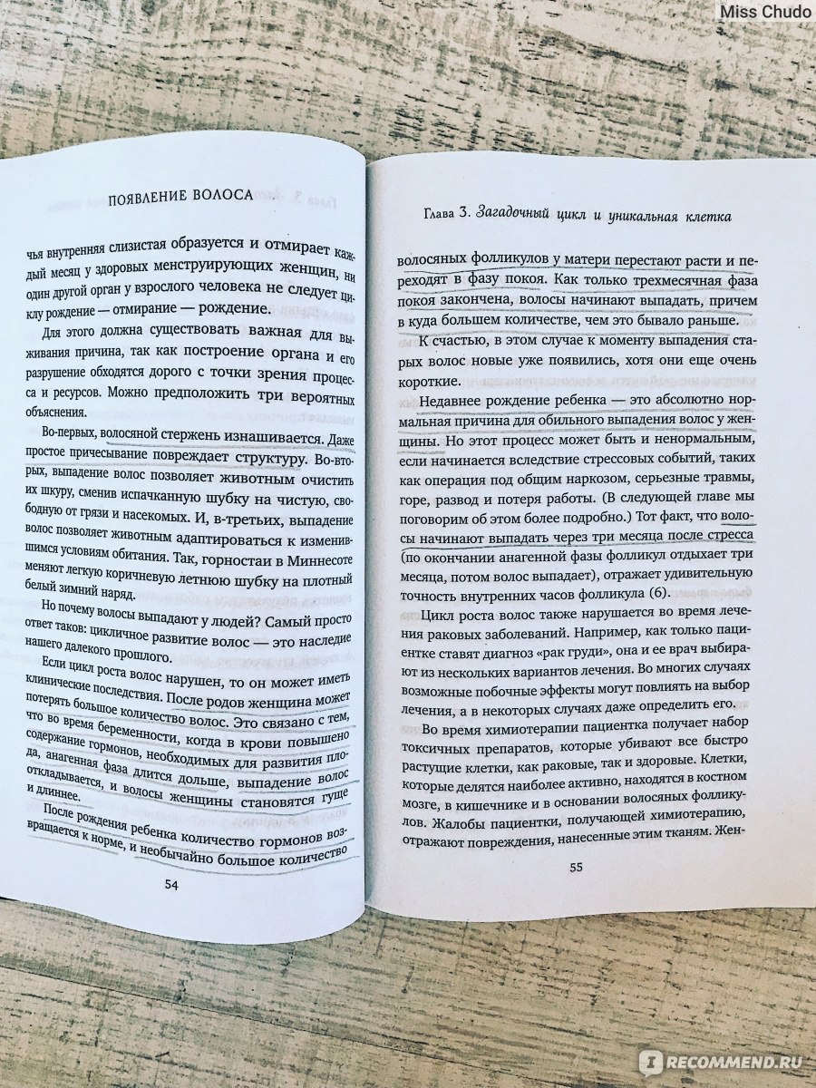 Волосы. Всемирная история. Курт Стенн - «Волосы - это гордость практически  каждой женщины. А как можно гордится тем, что плохо знаешь?» | отзывы