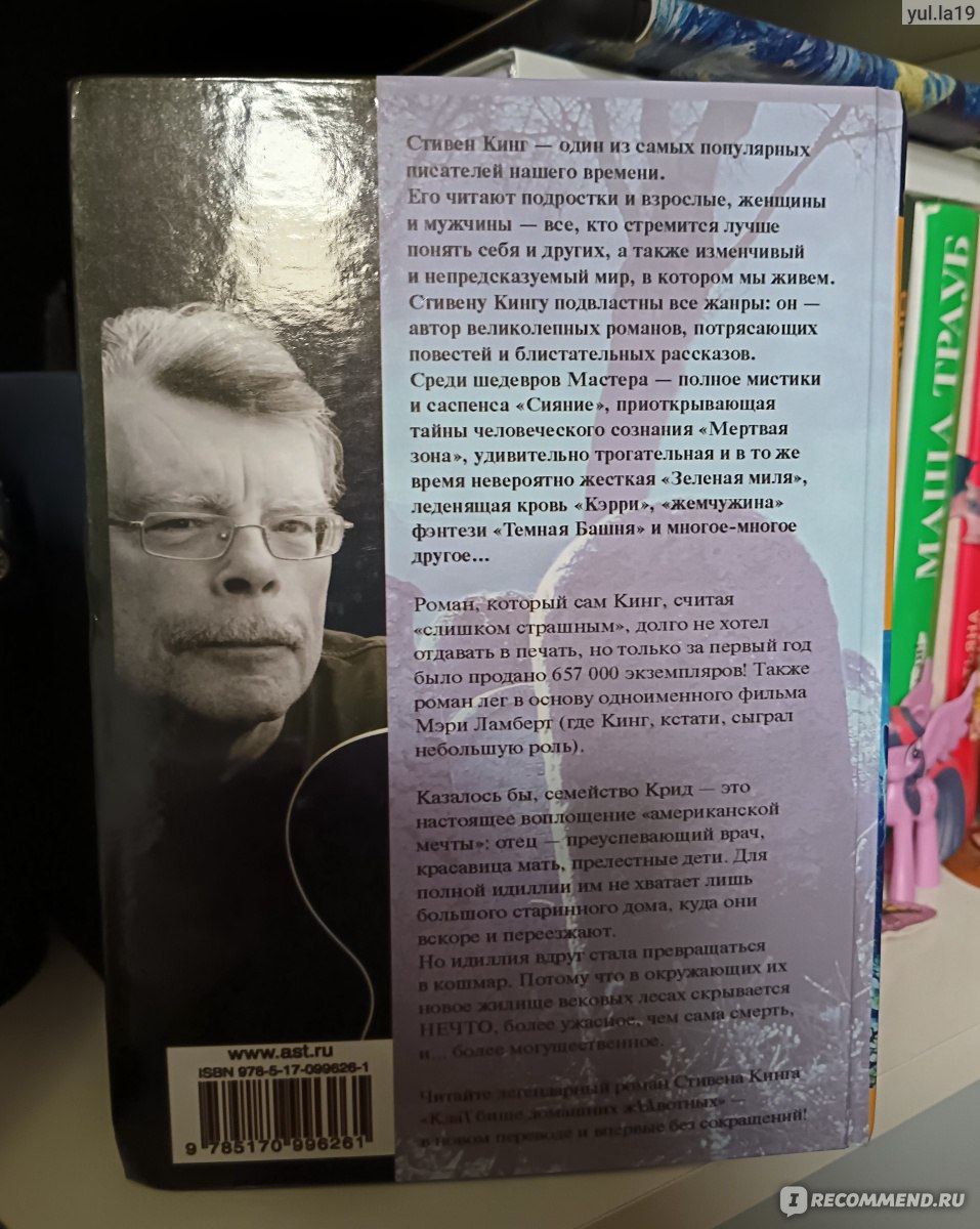 Кладбище домашних животных, Стивен Кинг - «Один из самых известных романов  Стивена Кинга наконец-то прочитан🔥Сильная история, которая оказалась  совсем не такой страшной, как её рекламировали 🥲» | отзывы