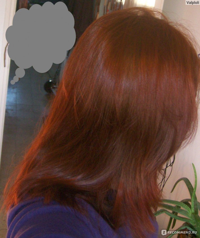 Хна для волос Frontier Red Henna Leaf фото