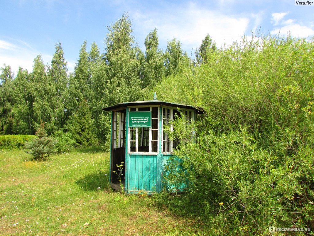 Ульяновский дендропарк, Ульяновск - «Дендропарк в городе, экскурсия» |  отзывы