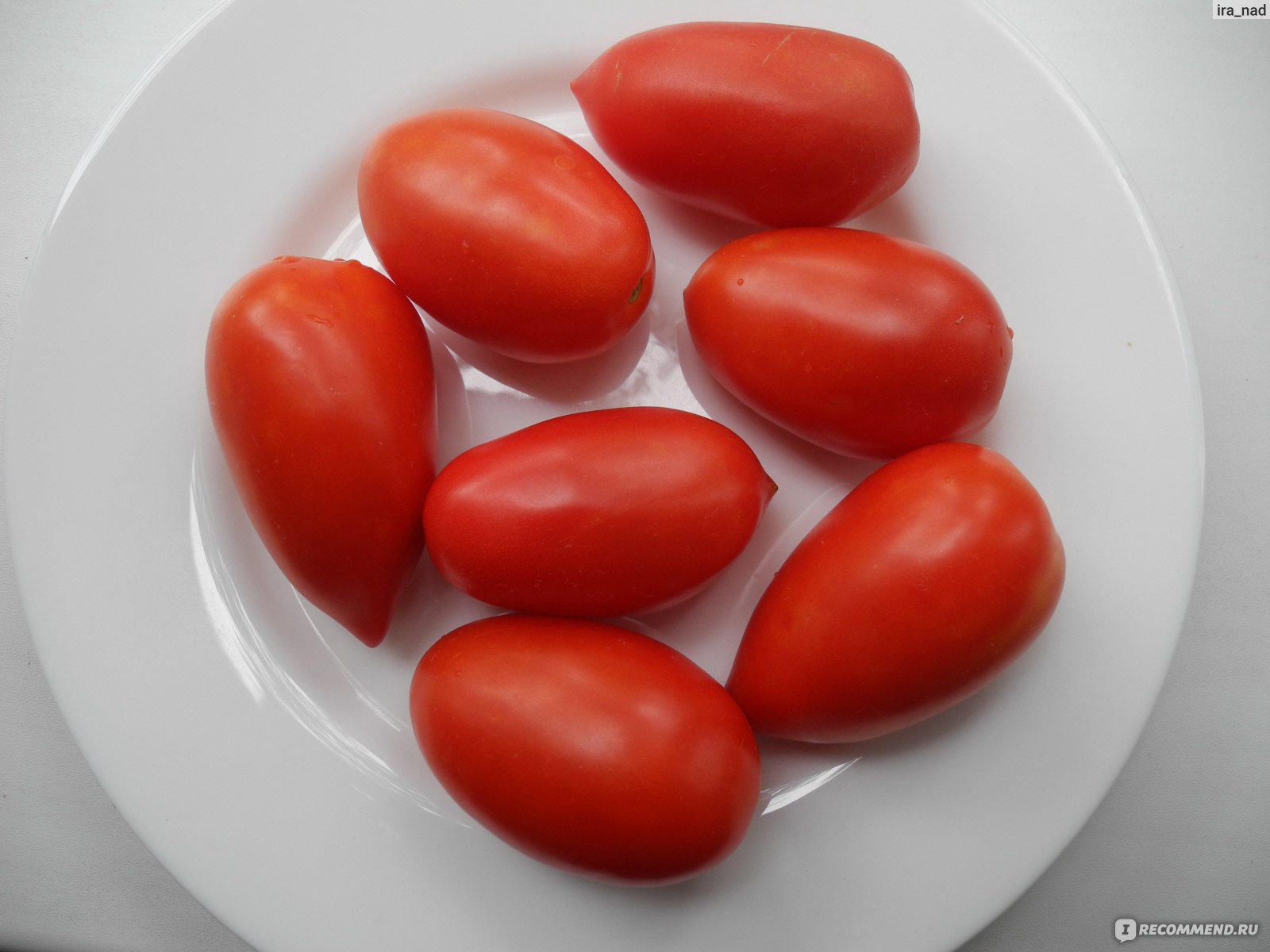 Тройка сорт томатов