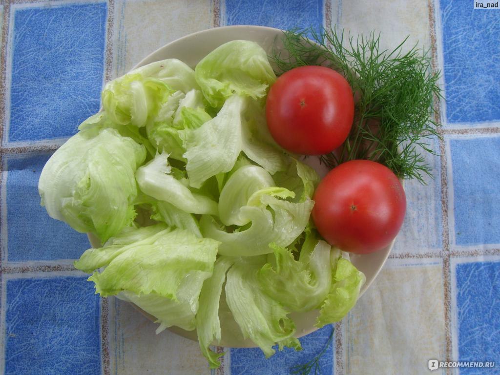 Семена Плазмас салат кочанный Айсберг - «непревзойденный вкус» | отзывы