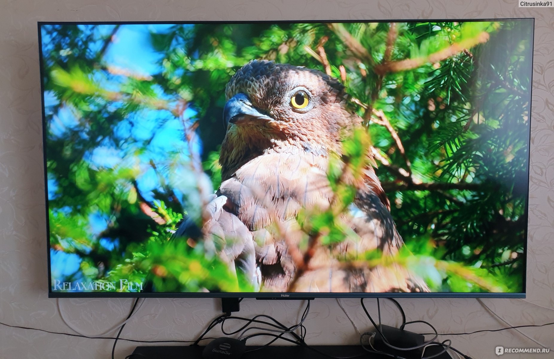 Телевизор хайер обзор. Телевизор на стене. Haier led4k6500 55". Телевизионные поля. Предохранитель в телевизор Хаер.