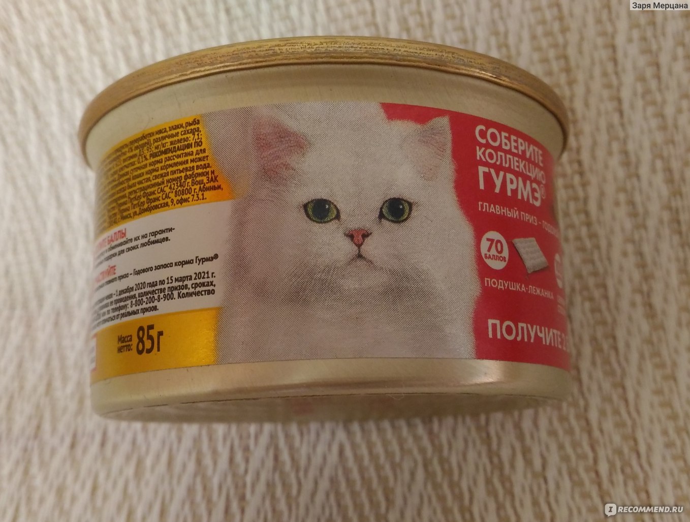 Корм для кошек Purina Gourmet Gold кусочки в соусе с форелью и овощами -  «Мурмурские консервы» | отзывы