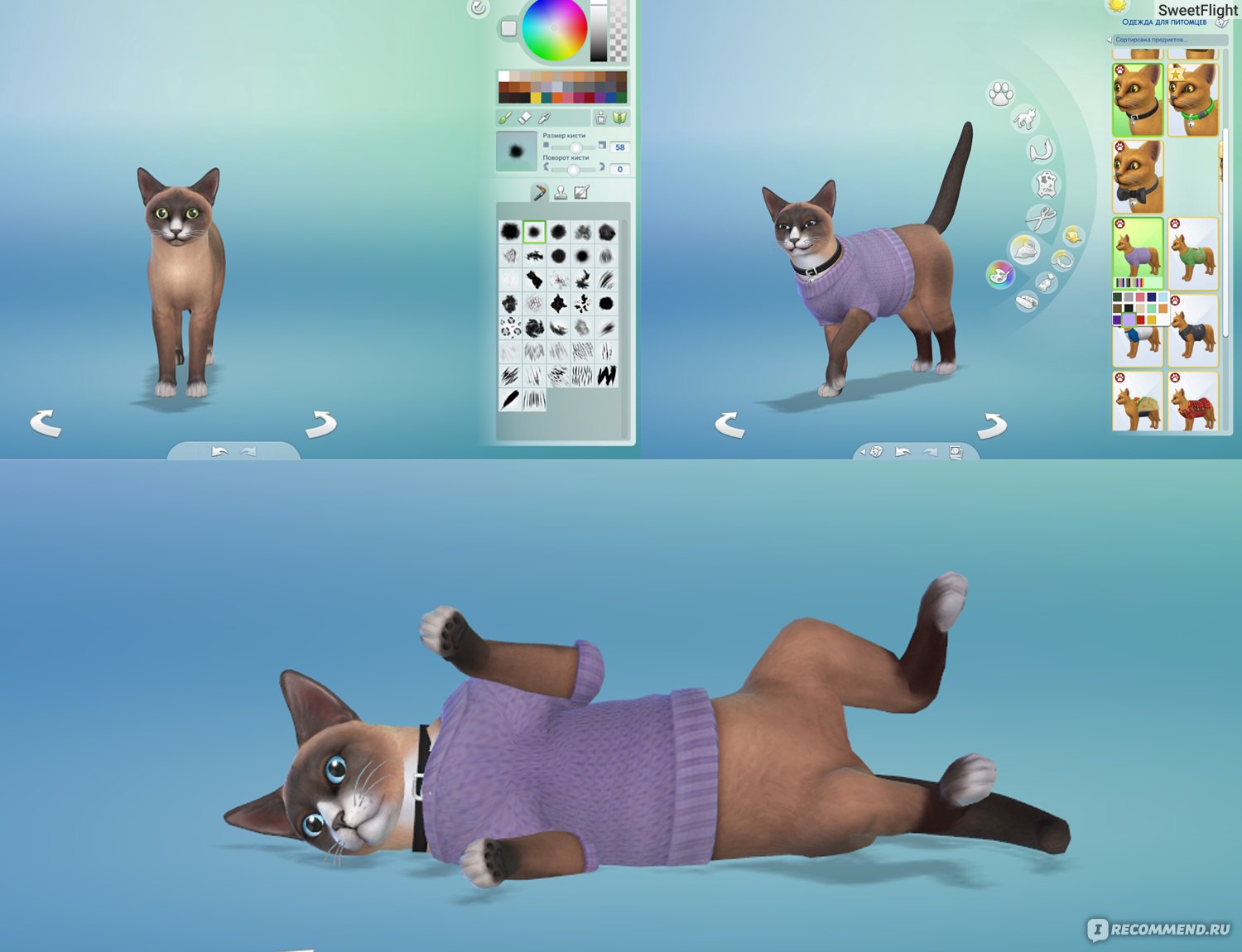 Симс кошки и собаки. The SIMS 4. кошки и собаки. Симс 4 кошки и собаки. SIMS 4 кошка. The SIMS 4 пес.