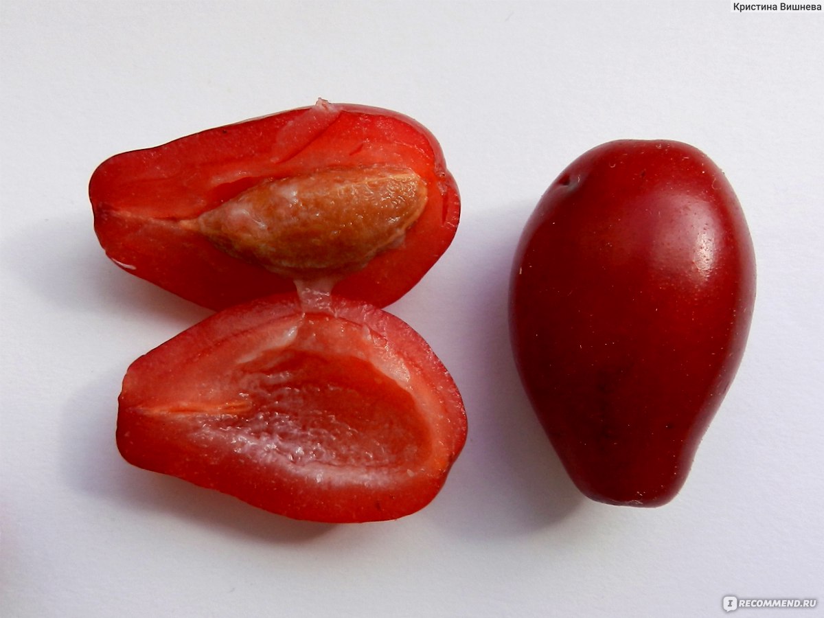 Кизил сушеный томат черри