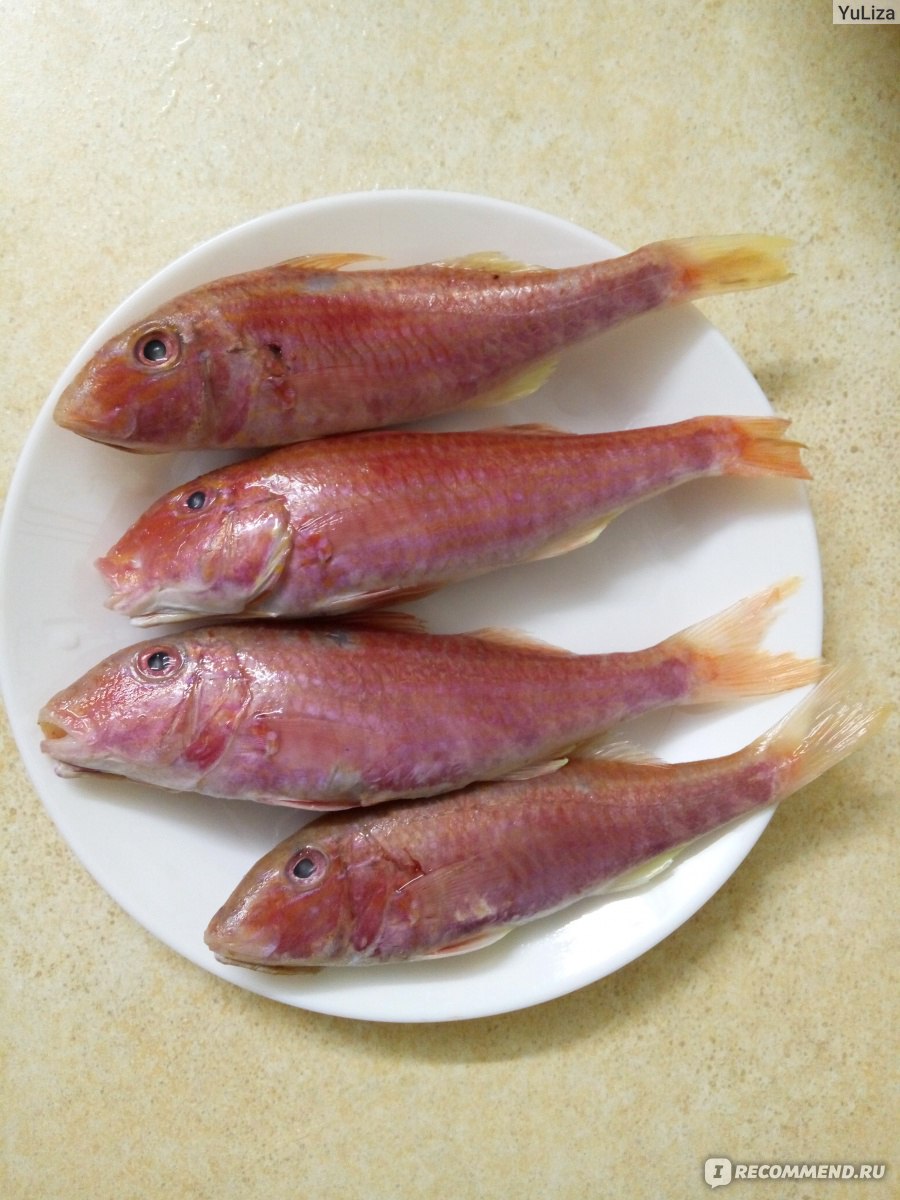 Рыба Ice Time Барабулька - «Очень вкусная рыбка барабулька - нежная, со  сладковатым вкусом, костей мало. Но чтобы ее приготовить, придется  потрудиться» | отзывы