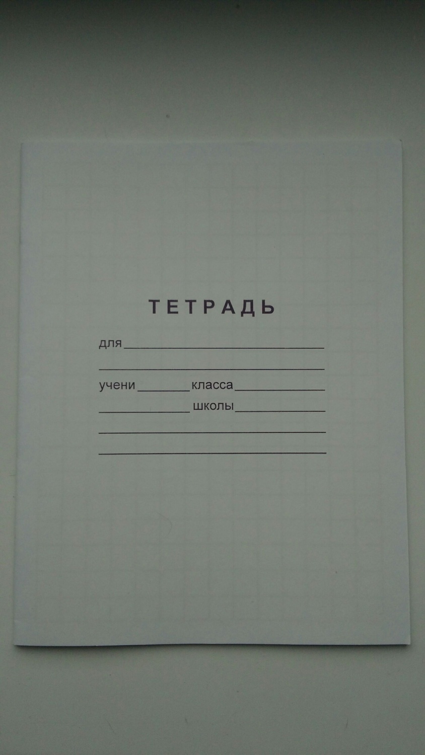 Продам тетради. Тетради для слабовидящих. Тетрадь для слабовидящих в крупную клетку. Тетрадь продаж. Тетради для слабовидящих детей.