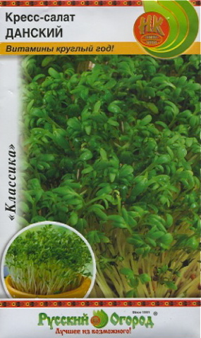 Кресс-салат: выращивание на подоконнике, правила посадки, уход, полив и подкормка