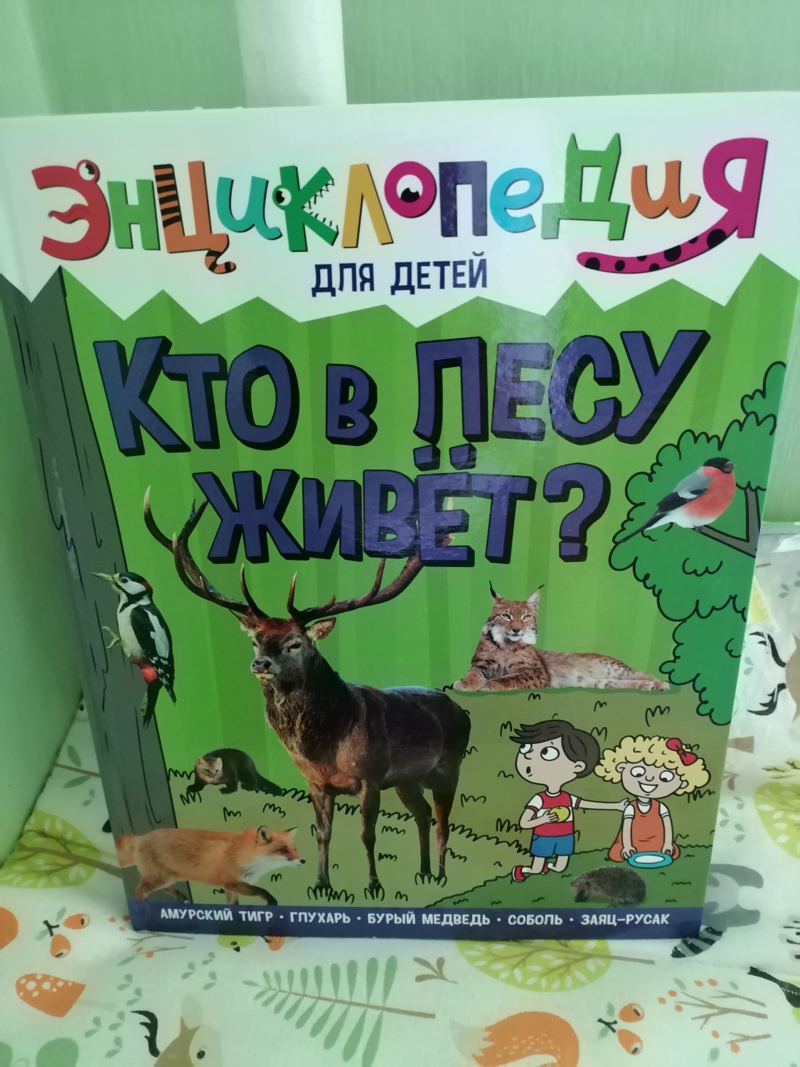 Кто в лесу живёт. Ярослава Соколова - «Книга, которая знакомит ребятишек с  животными, населяющими лес)» | отзывы