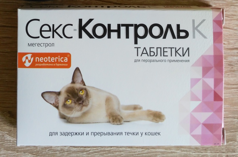 В костюме кошки: смотреть русское порно видео бесплатно