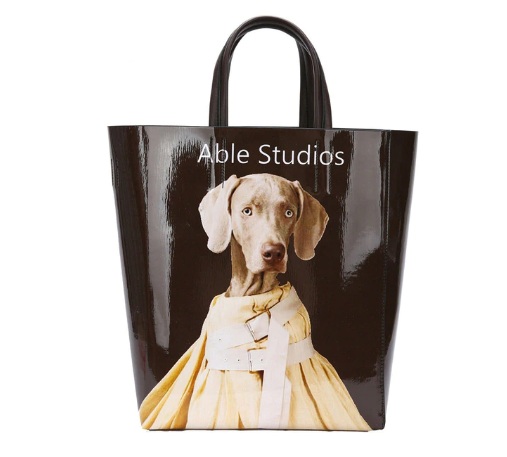 Женская сумка Aliexpress Handbags Fashion Large Totes Women Bags Designer Women's Shoulder Bag Crossbody Bags For Women 2021 Composite Bag Dog Printing фото