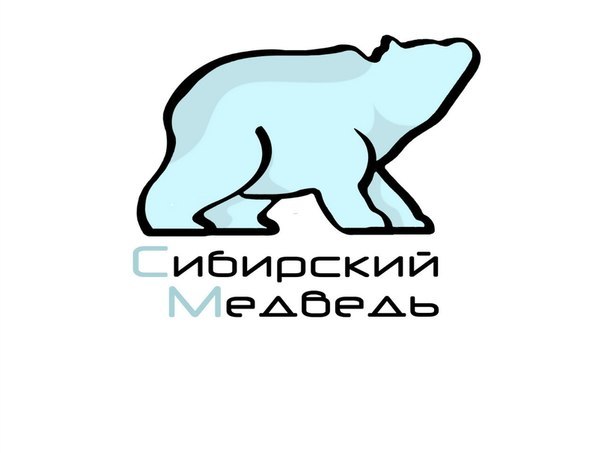 Интернет-провайдер Сибирский медведь фото