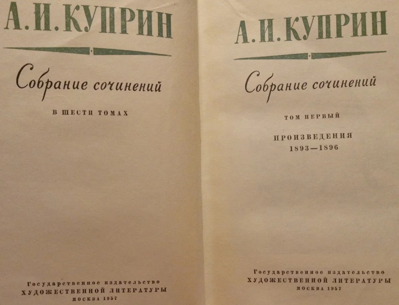 Куприн сказка. Блаженный Куприн. Александр Куприн — Блаженный. Отзыв о Куприне. Блаженный рассказ Куприна.