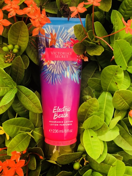 victoria secret electric beach lotion