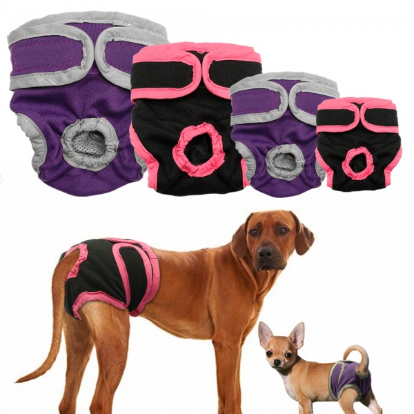 Одежда для собак Aliexpress Dog Shorts Female Puppy Physiological Pants  Diaper Pet Underwear For Small Meidium Girl Dogs - «Самые практичные трусики  для собак во время течки. Проверено!» | отзывы