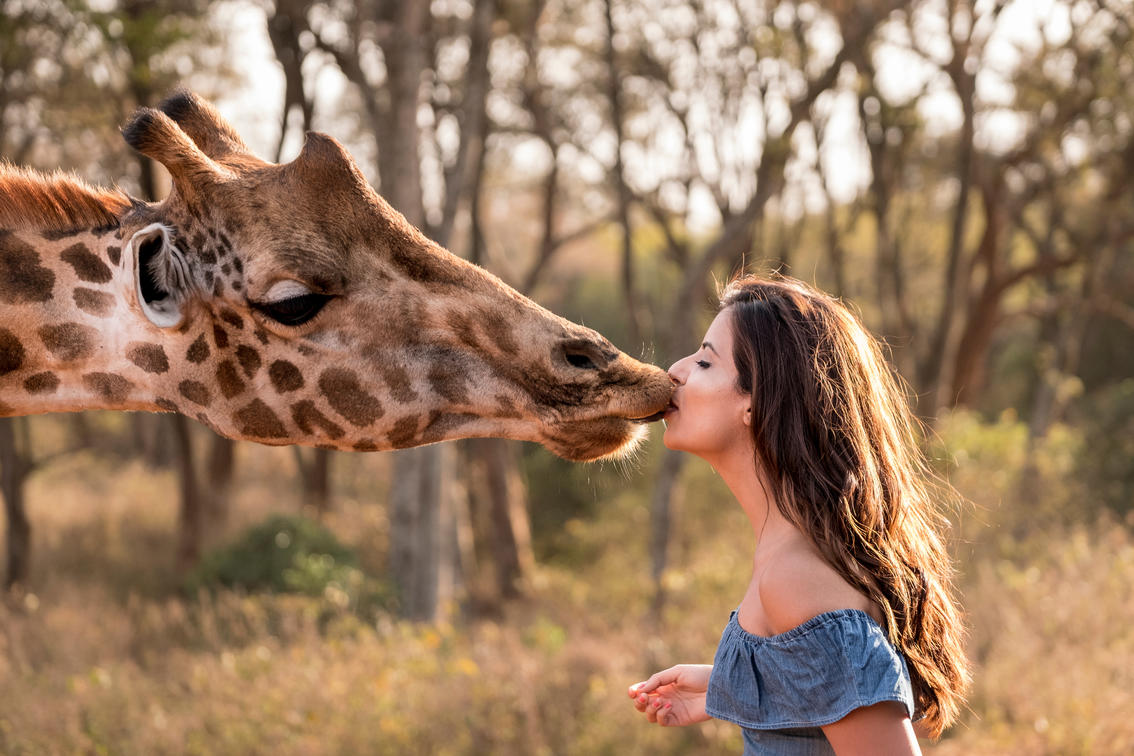 Жираф-центр (Giraffe Center), Найроби, Кения