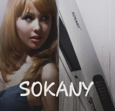 Утюжок для волос Sokany HS 950 фото