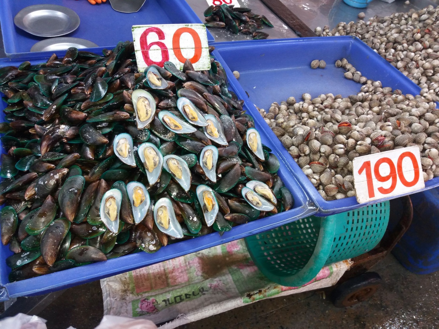 рыбный рынок в тайланде