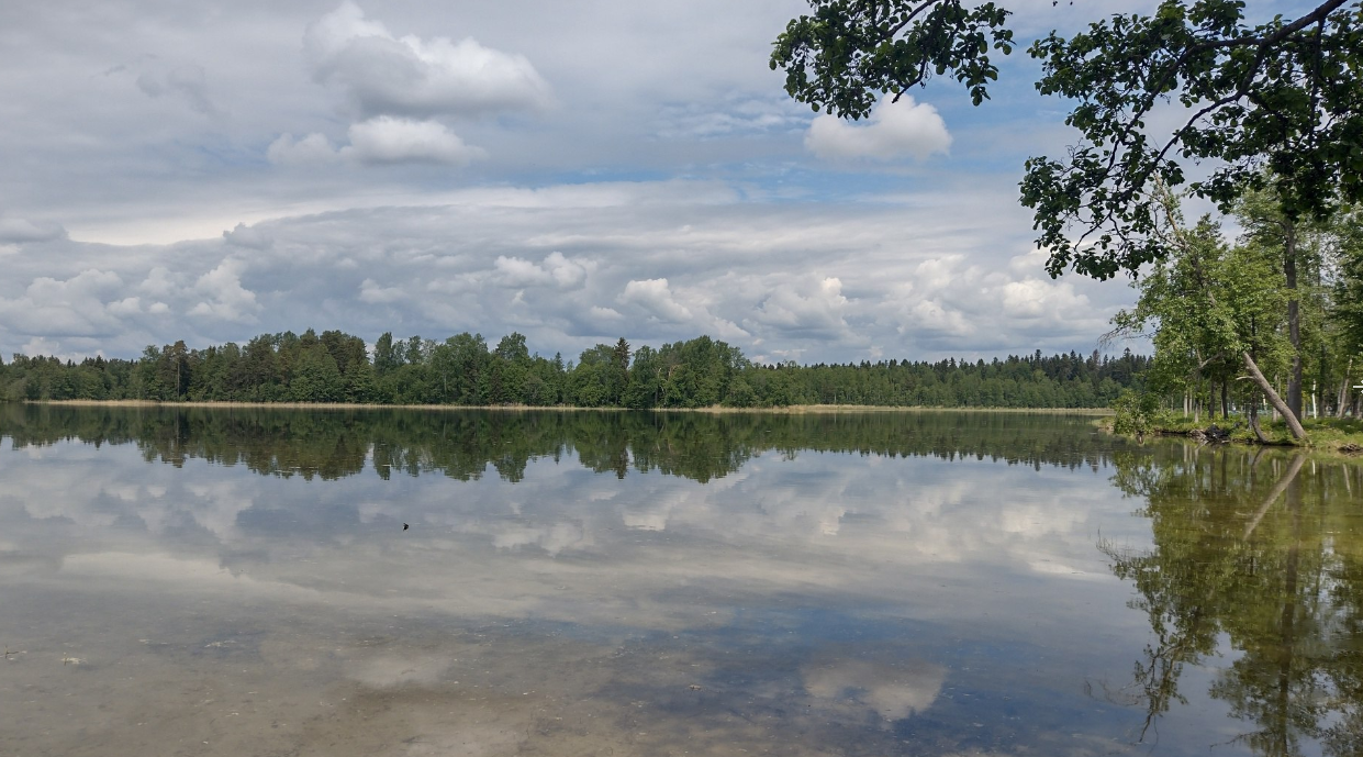 Озеро Валдай(Валдайское озеро), Валдай(Валдайский район), Новгородская  область - «Недооцененная жемчужина России» | отзывы