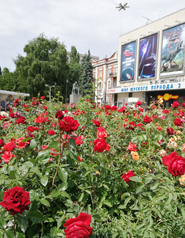 Швеи в Воронеже