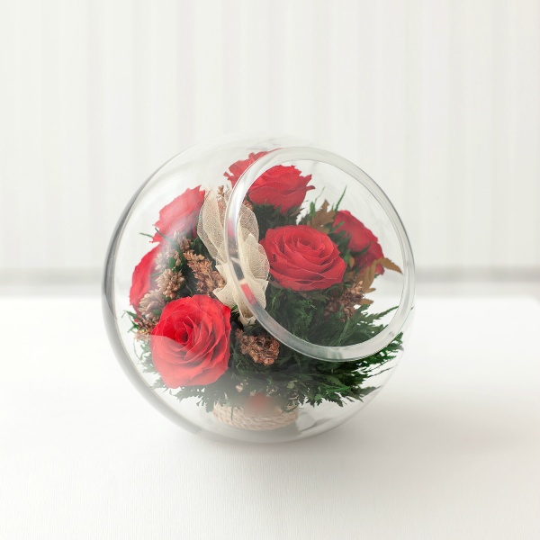 Живые розы фото - обои и картинки на рабочий стол