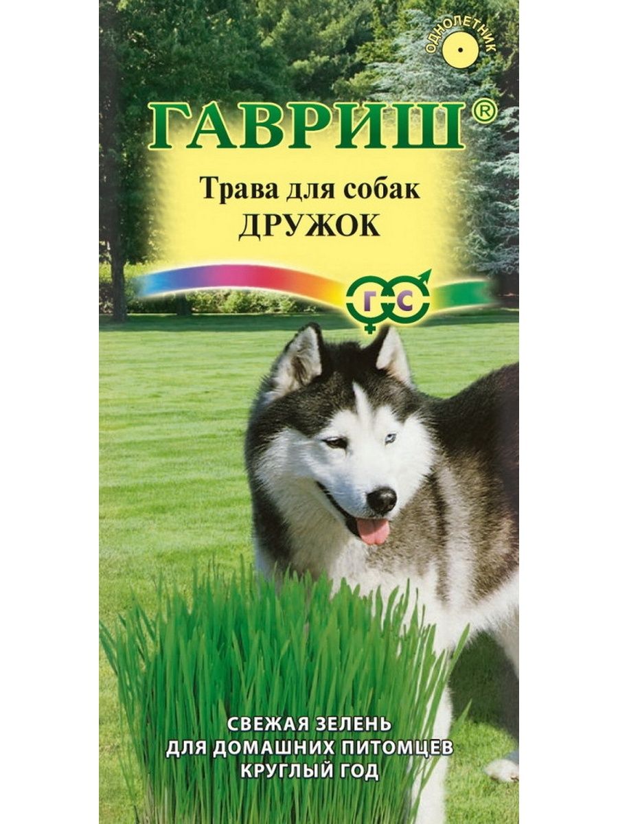 Трава для собак Гавриш Дружок - «- А не загавкает? - Не, не должен. Трава  Дружок - это сбалансированный состав свежей травки, но не только для  пёселей» | отзывы