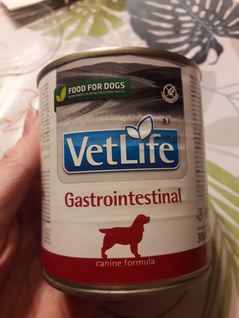 Купить Корм Для Собак Vetsolution Gastrointestinal