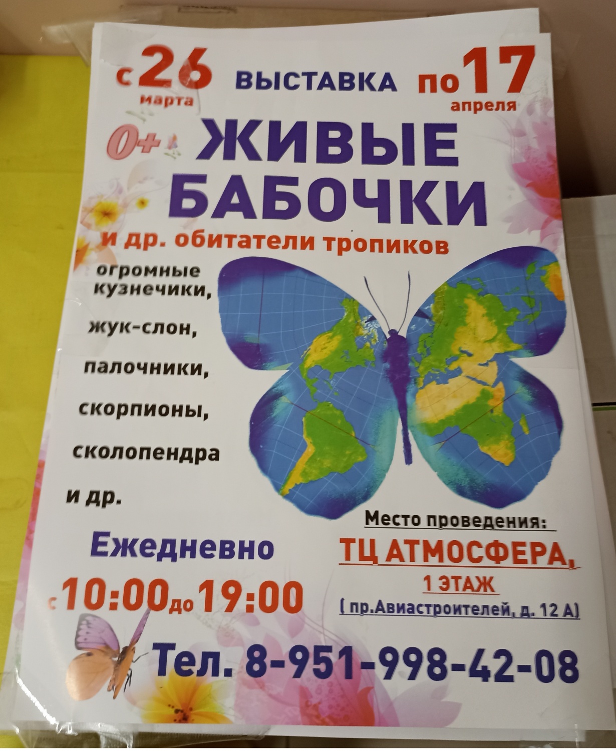 выставка бабочек в москве