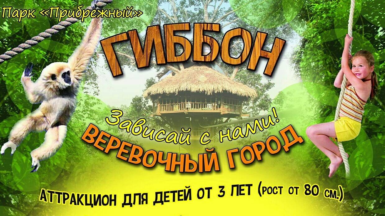 Веревочный город Гиббон (парк Прибрежный), Ульяновск | отзывы