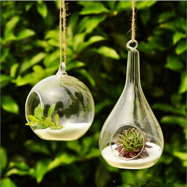 Clear Glass Round with 1 Hole Flower Plant Stand Hanging Vase Hydroponic Decor