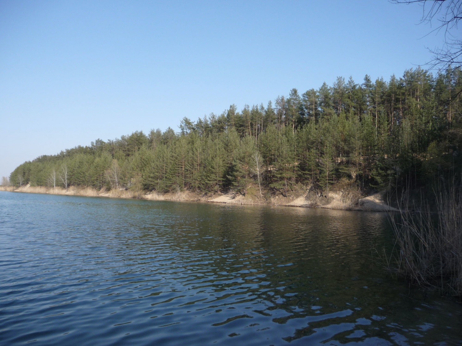 Голубые озера, Лиманский район, Украина - «Вода чистая и прозрачная, вокруг  хвойный лес» | отзывы