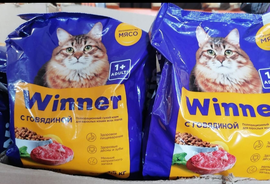 Худшие корма для кошек: 8 самых плохих вариантов готовой еды для котов