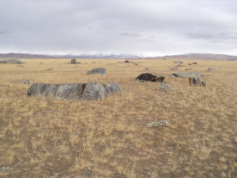 Кош агач горный алтай фото